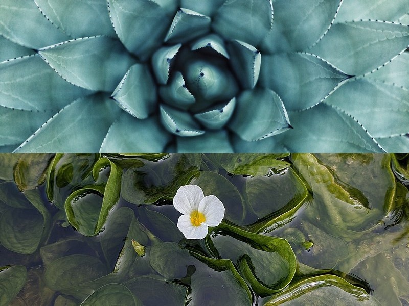 無線藍牙音箱怎么用？