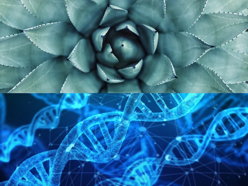 空調扇的原理是什么？