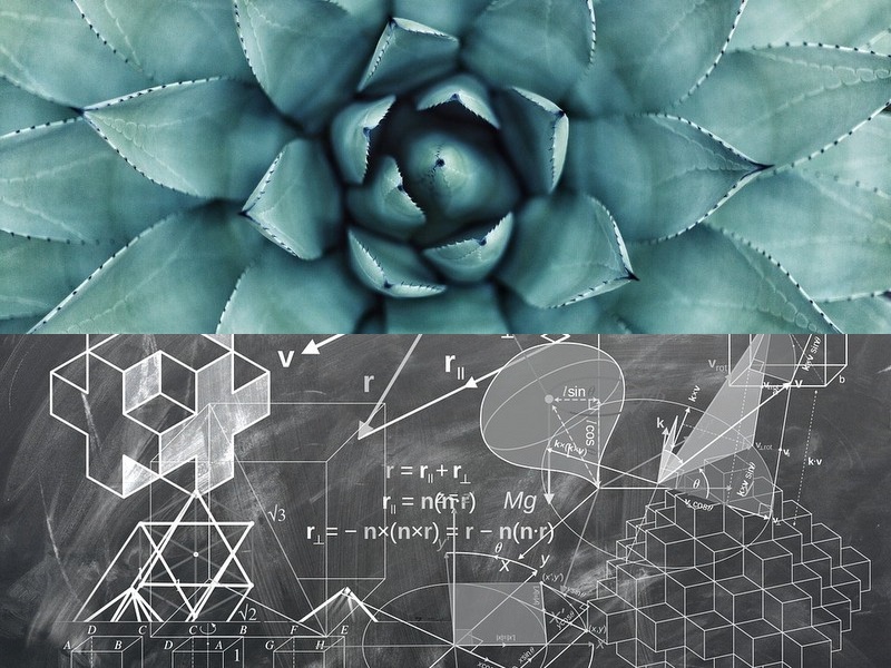 空調扇好用嗎？