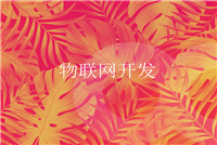 國內移動app開發，提供什么服務