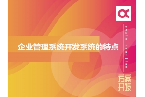 企業管理系統開發系統的特點有哪些呢？